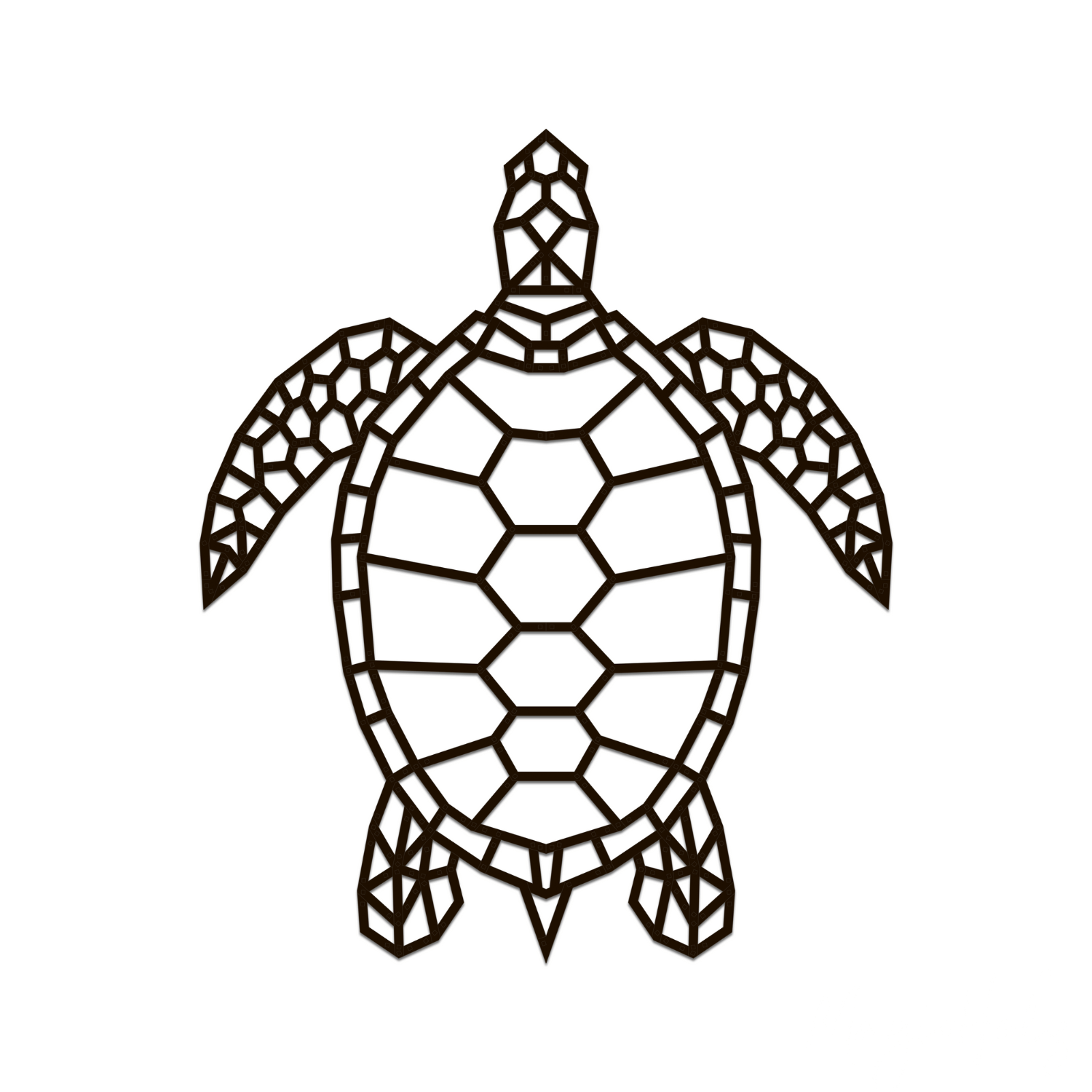 Water turtle wall puzzle