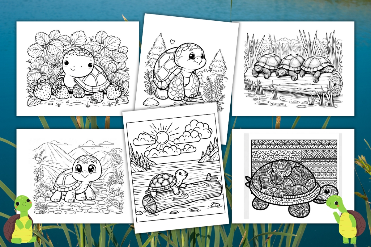 Free printable turtle coloring pages