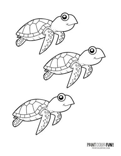 Sea turtle coloring pages clipart at