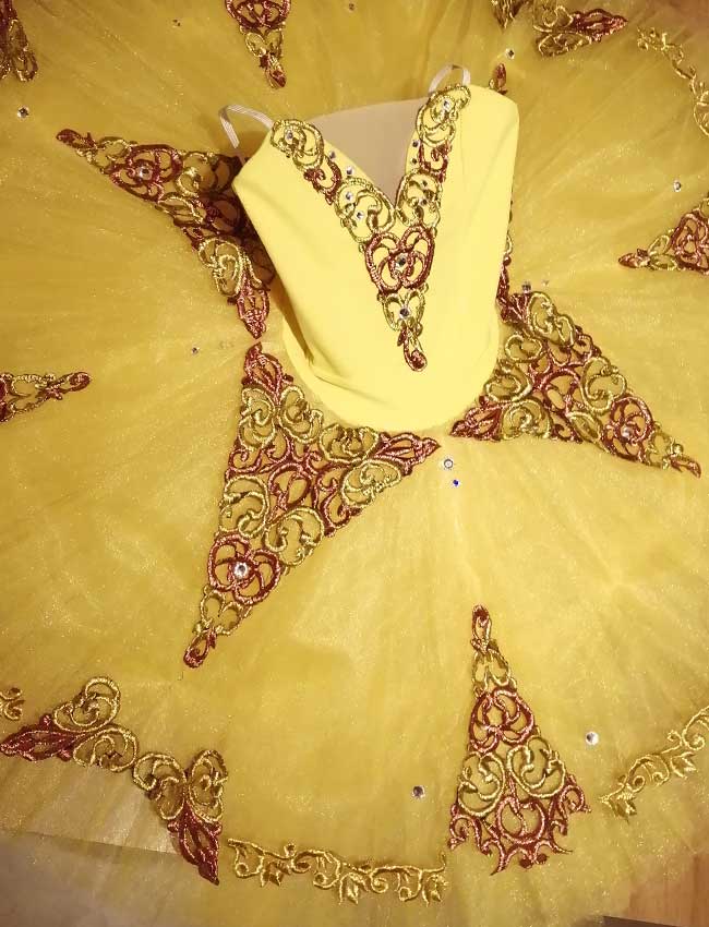 Don quixote ballet tutu pro