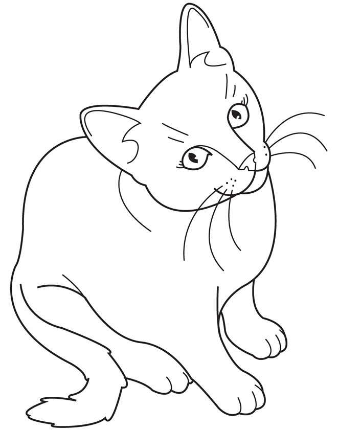 Coloring book animal illustrator animal coloring page artist disegni di gatti disegni da colorare dipinti gatto