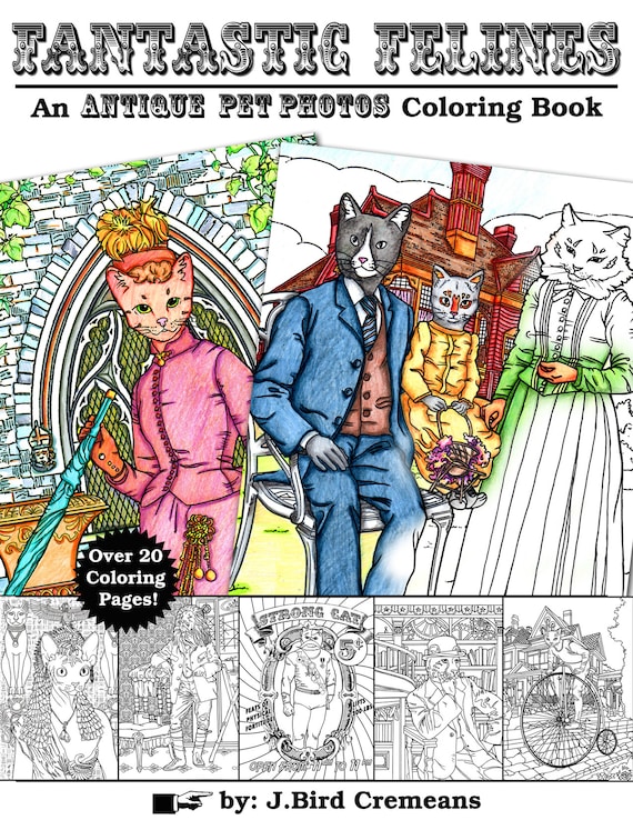 Printable cat page coloring download tuxedo cats cute realistic for grown ups meditation activity creative color book digital cat art