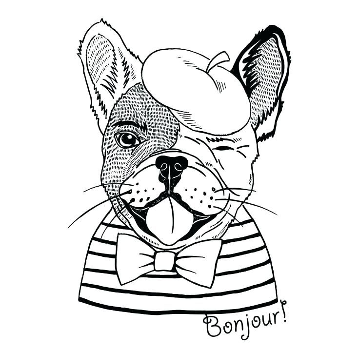 Bulldog coloring pages