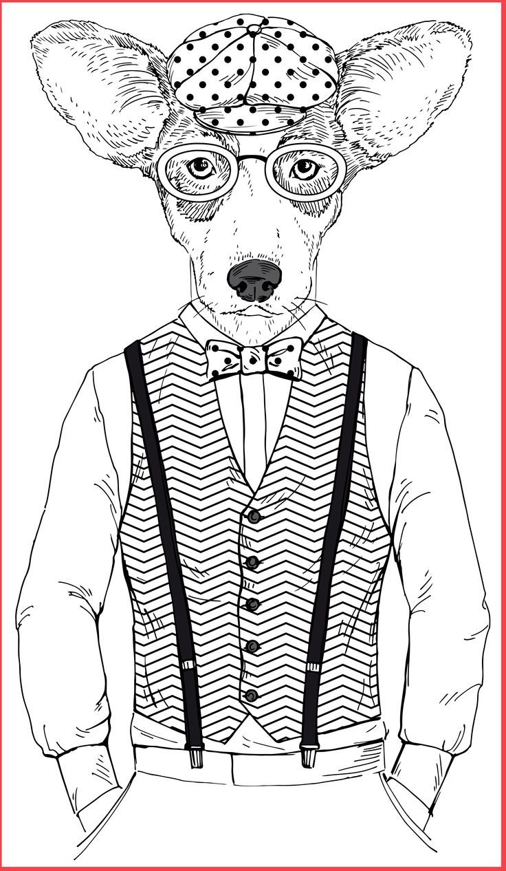 Cat coloring book for adults