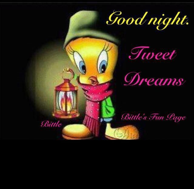 Goodnight tweety bird quotes tweety bird looney toons goodnight good night goodnight quotes good nite tweety bird quotes tweety bird quotes