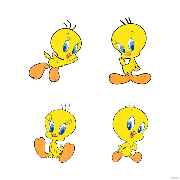 Bird s