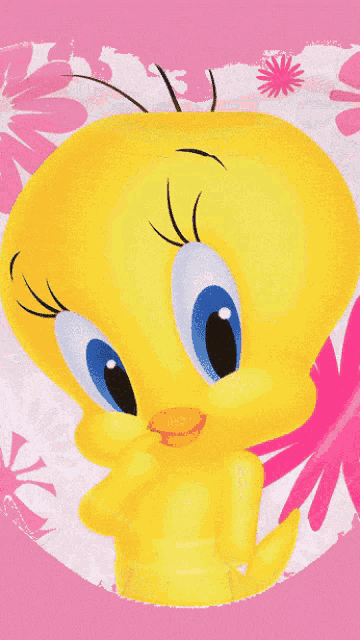 Tweety gifs