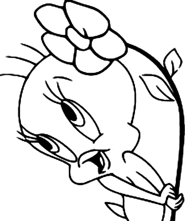 Printable tweety bird coloring pages