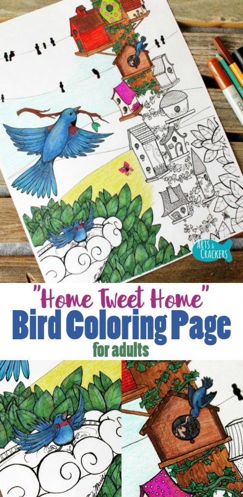 Home tweet home birds coloring page for adults