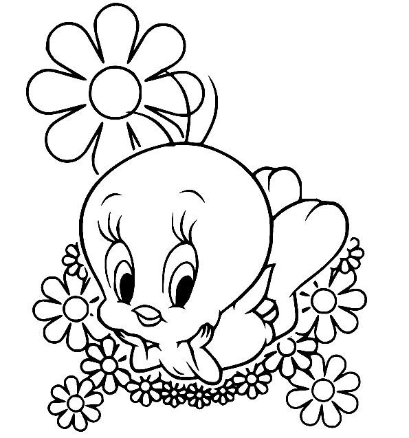 Tweety coloring pages printable for free download