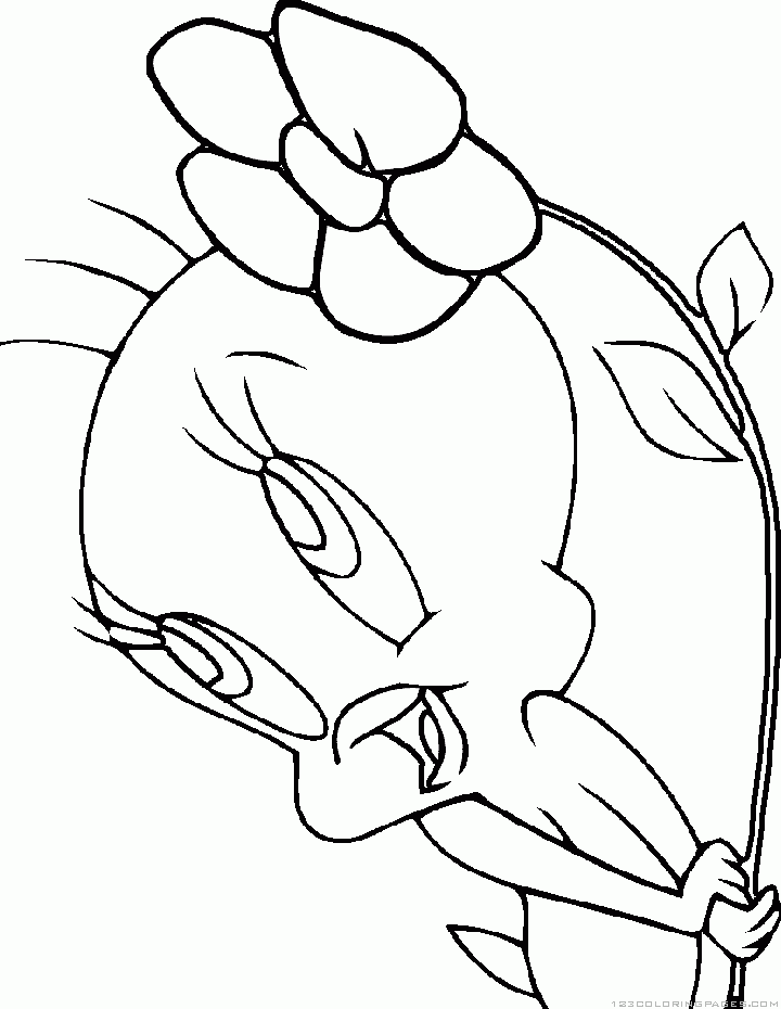 Tweety coloring pages