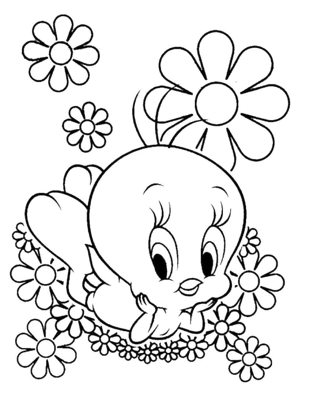 Online coloring pages coloring canary tweety coloring
