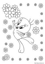 Tweety coloring pages on coloring