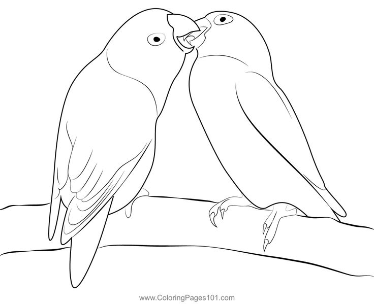 Love birds coloring page coloring pages love birds coloring pages for kids