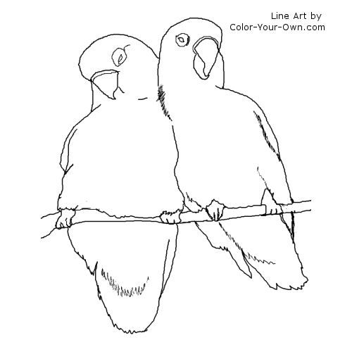 Love birds coloring page bird coloring pages coloring pages love coloring pages