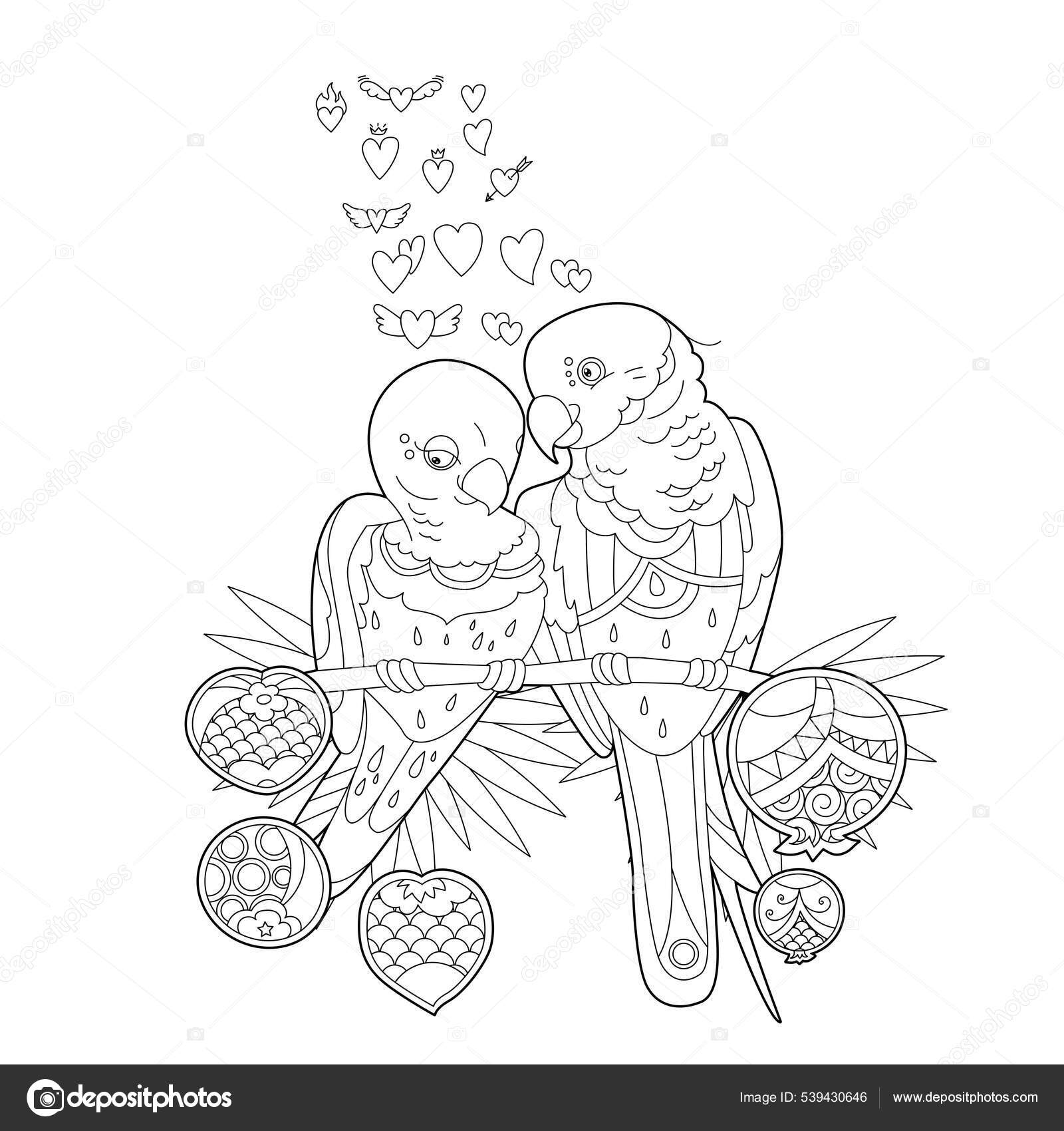 Contour linear illustration coloring book two pretty birds beautiful cute stock vector by nurrka