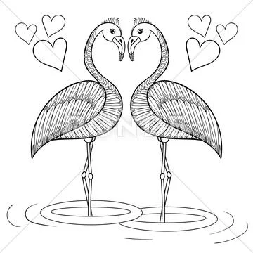 Coloring page with flamingo birds in love zentangle hand drawin royalty free