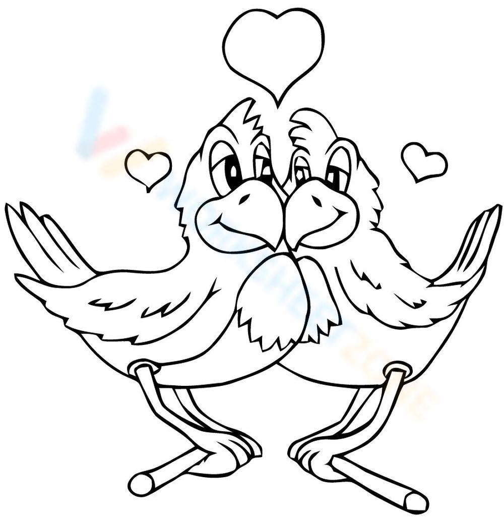 Cute birds worksheet