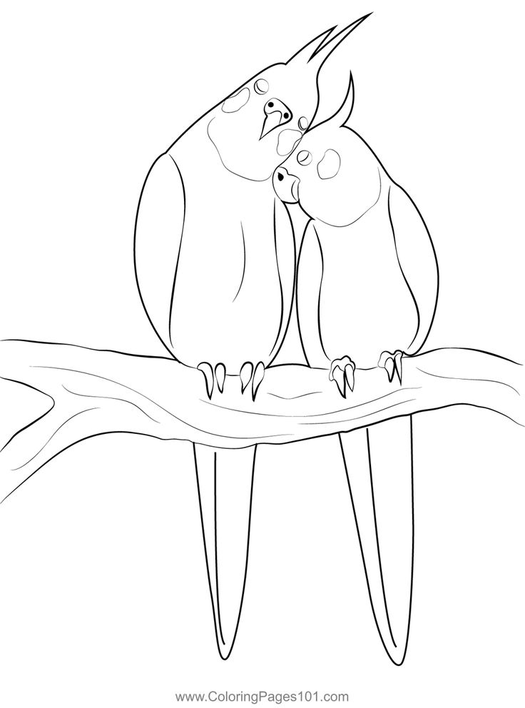 A bird love coloring page love coloring pages coloring pages printable coloring pages