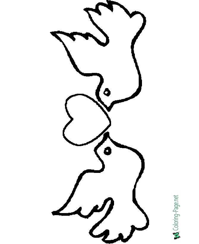 Bird coloring pages