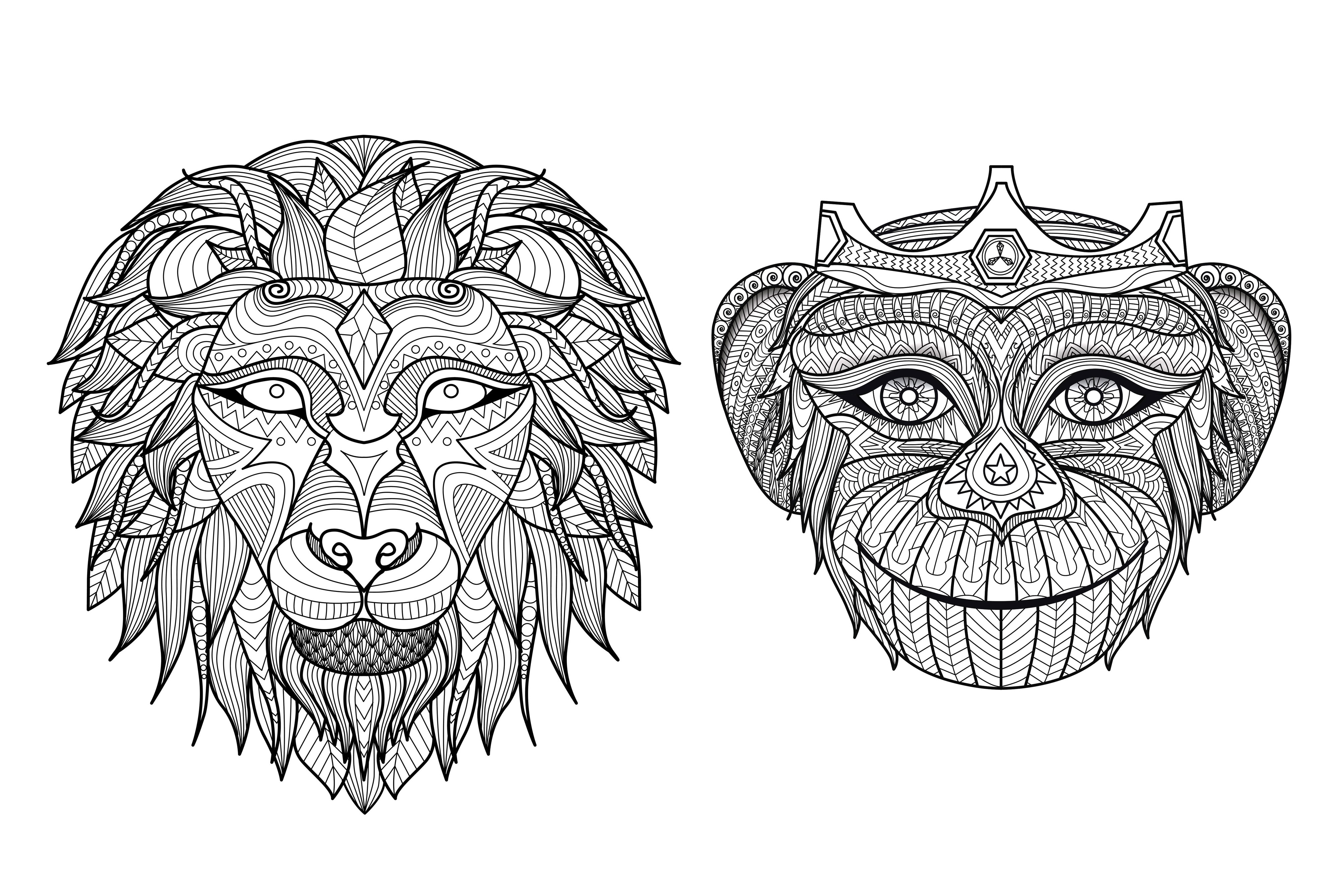 Africa heads monkey lion