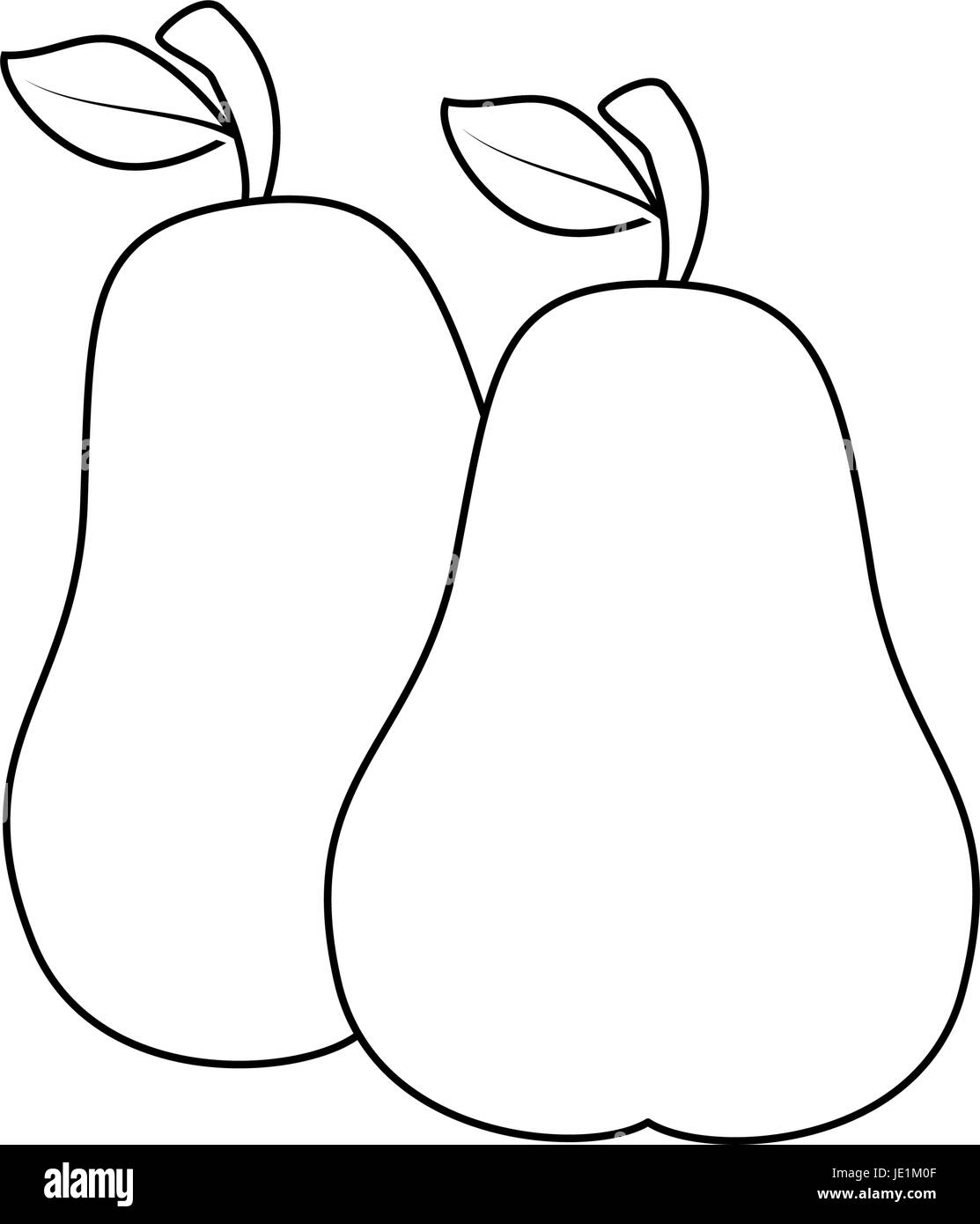 Isolated sweet two pears icon vector illustration graphic design stock vector image art