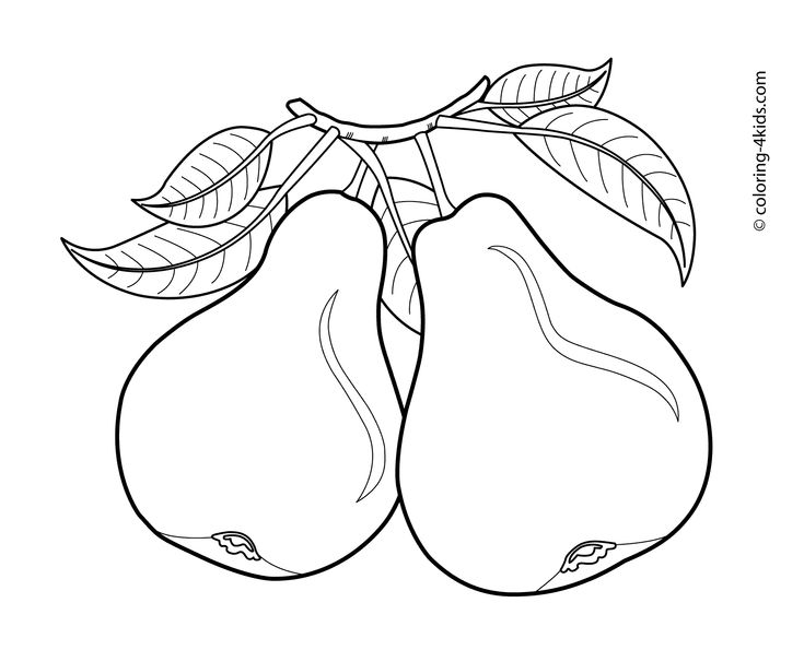 Pears fruits coloring pages for kids printable free fruit coloring pages coloring pages for kids coloring pages