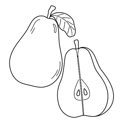 Pear fruit isolated coloring page for kids stock illustration