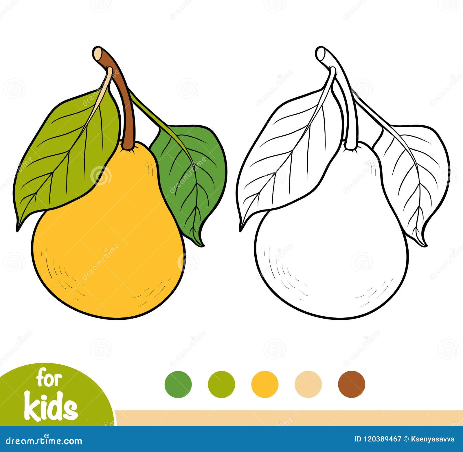 Pear coloring stock illustrations â pear coloring stock illustrations vectors clipart