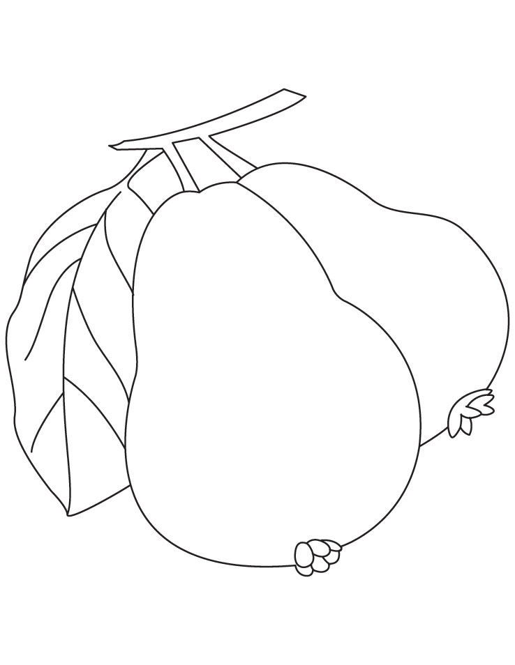 Two guava coloring pages download free two guava coloring pages for kids best coloring pages