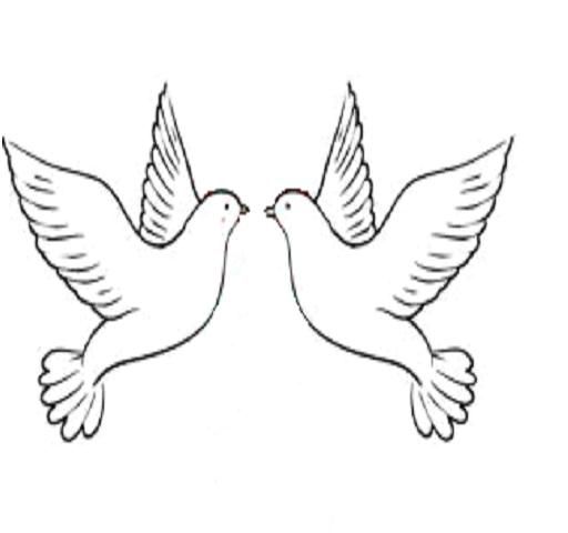 Turtle doves animal drawings sketches dove drawing christmas card art