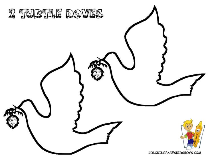 Two turtledoves christmas coloring sheets christmas coloring pages coloring pages