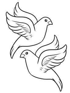 How to draw turtle doves step turtle drawing dove drawing bird drawings