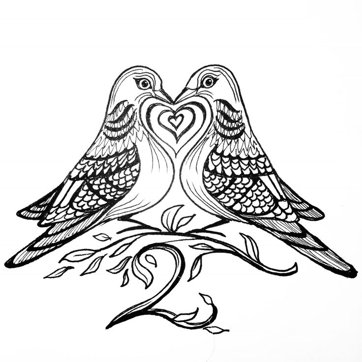 Lovebirds in pen and ink