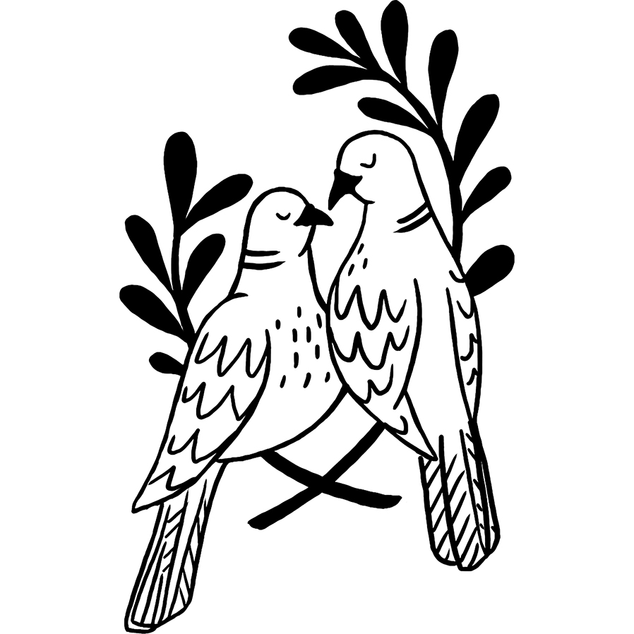 Two turtle doves
