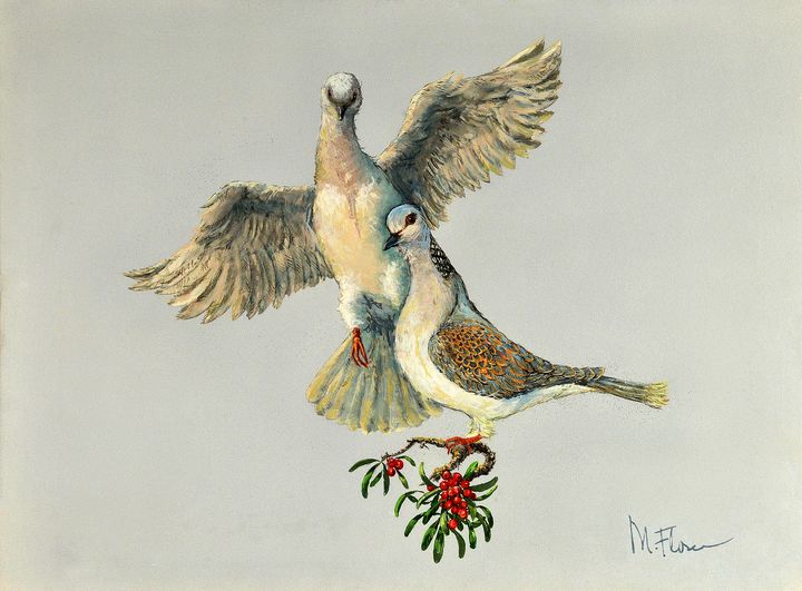 Two turtle doves