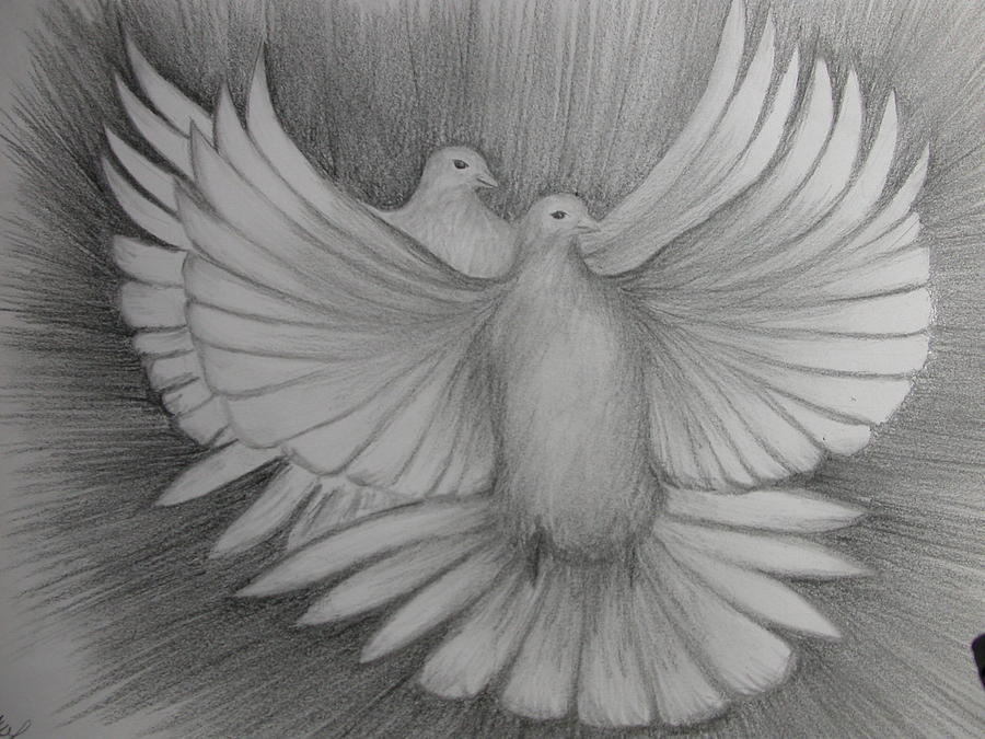 Two turtle doves drawing by carol frances arthur