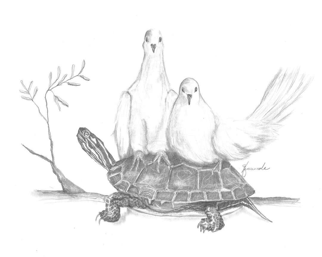 Pencil drawing print two turtle doves day