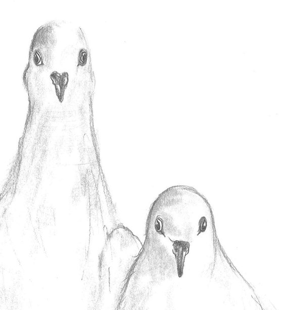 Pencil drawing print two turtle doves day