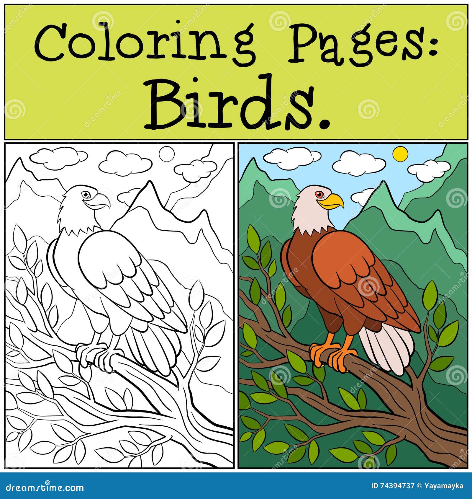 Eagle coloring stock illustrations â eagle coloring stock illustrations vectors clipart
