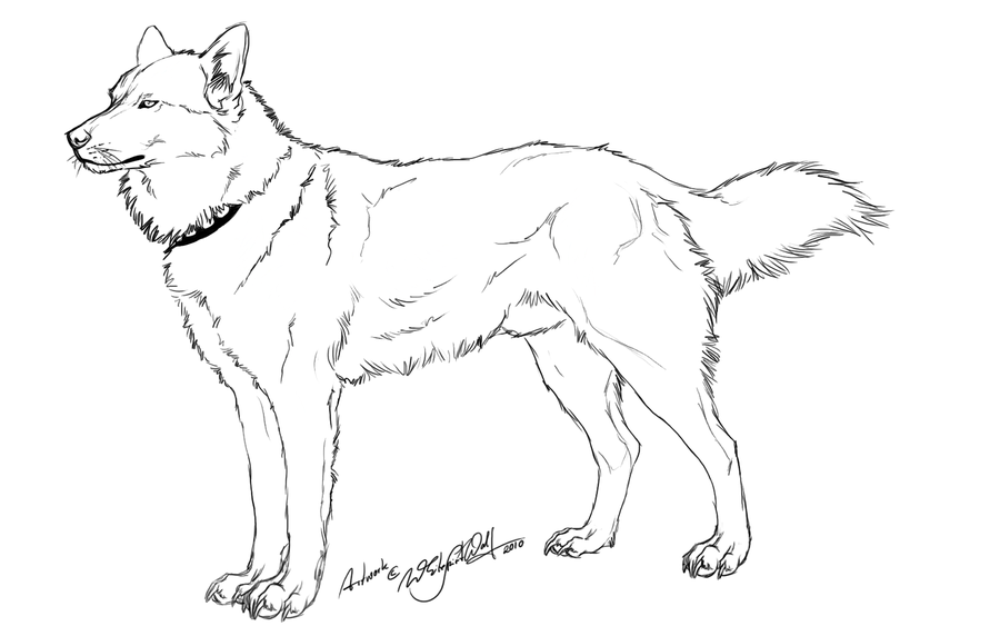 Uconn huskies coloring page