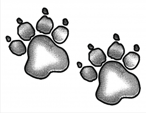 Get the coloring pages you never knew you needed