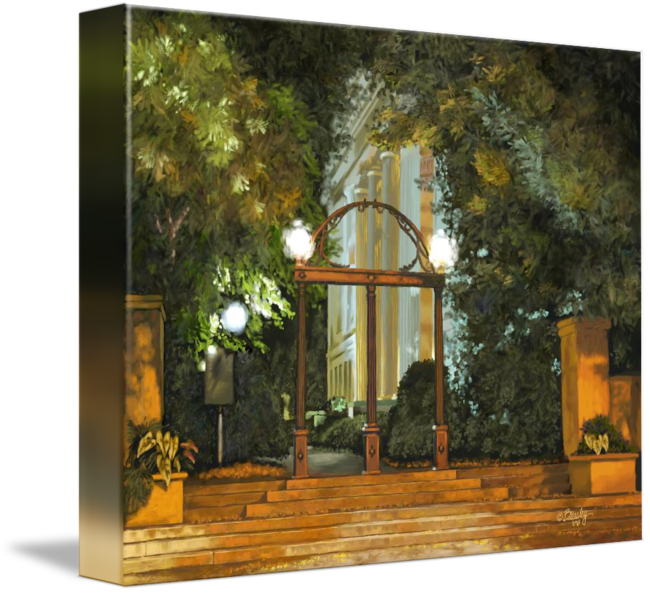 Uga arch at night in athens georgia by tim beasley