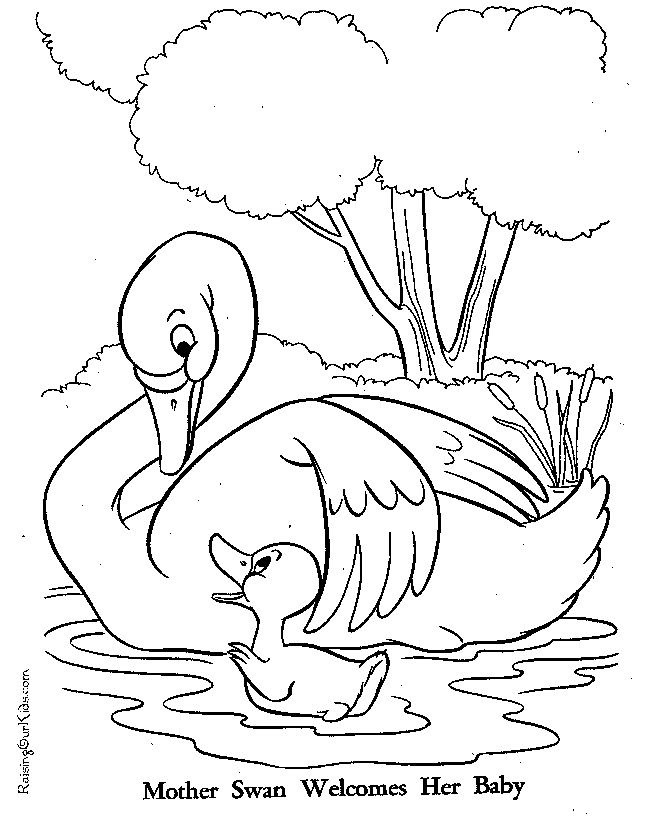 Mother swan ugly duckling coloring page