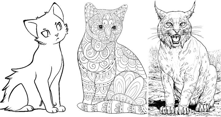 Free cat coloring pages for kids and adults