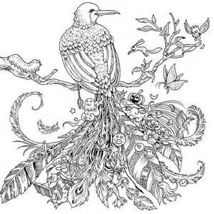 Animorphia coloring pages printable coloring pages animorphia coloring book animorphia coloring bird coloring pages