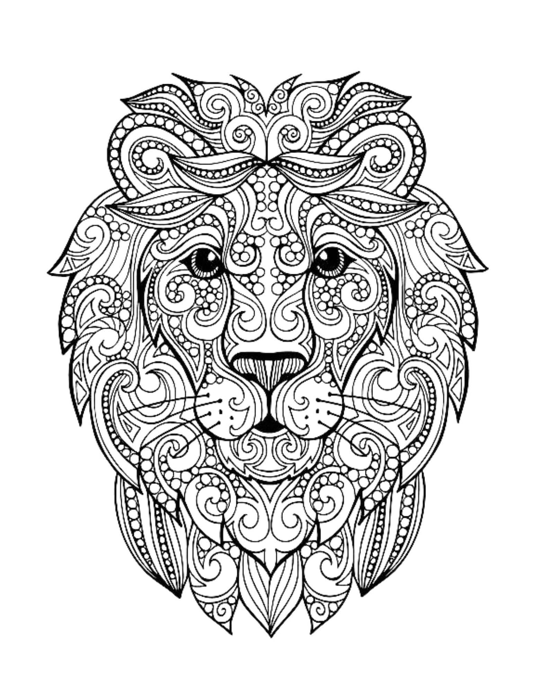 Lion mandala coloring page color cat animals draw drawing paper digital file download adult kids education art project school work