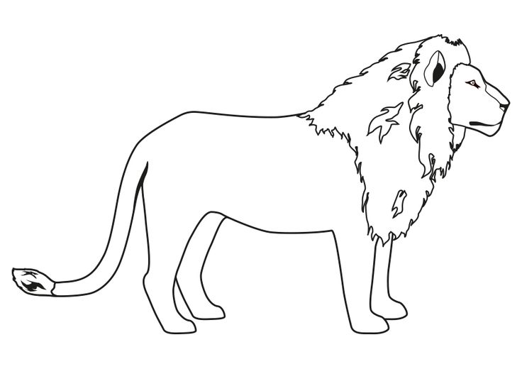 Dibujos de animal para colorear la silueta de un leãn dibujo de un leãn de perfil animals coloring pag coâ dibujos de animal dibujos de leon animal