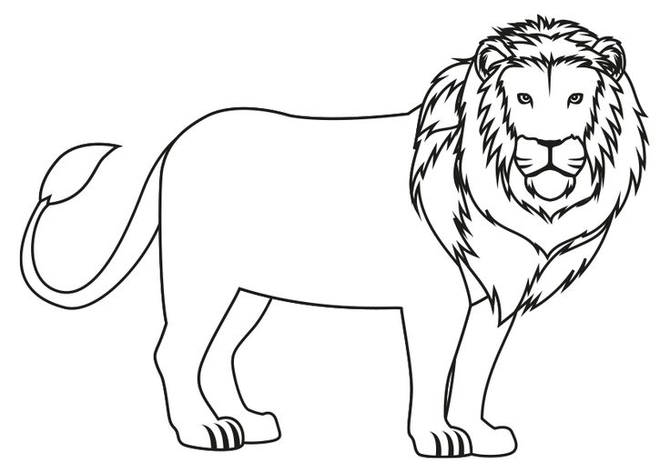 Dibujos de animal para colorear un leãn dibujo de un leãn animals coloring pag coloring â dibujos de animal leon para colorear animalitos para colorear