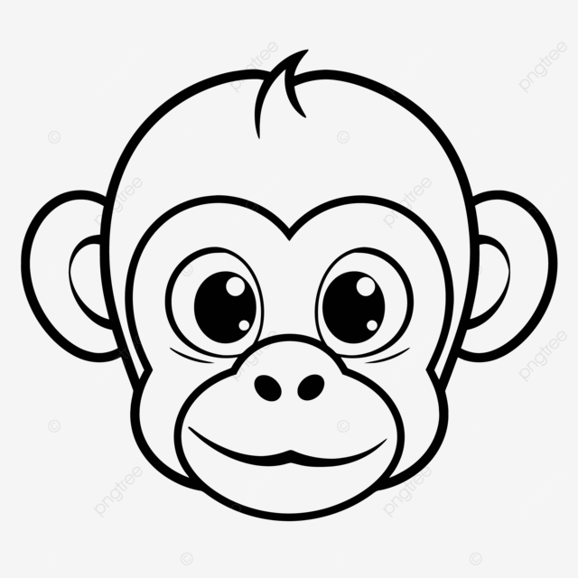 Dessin de mignon singes figure coloration page contour croquis vecteur png dessin de singe dessin daile dessin clã png et vecteur pour tãlãchargement gratuit